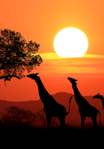 África do Sul